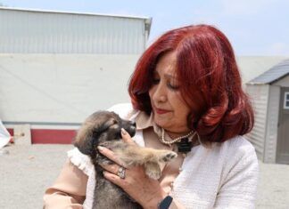 Alcaldesa Rosi Wong impulsa una politica de respeto y bienestar para los sintientes en Tecámac