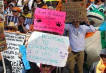 Urgen restituir Refugio Franciscano en CDMX