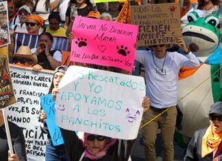 Urgen restituir Refugio Franciscano en CDMX
