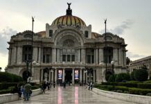 Se Comenta Solo Con / La Radiografía