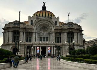 Activan alerta amarilla por frío en CDMX