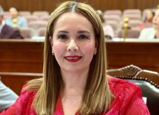 Ataque armado en Culiacán dejó a diputada Elizabeth Montoya sin un ojo