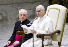 León XIV congrega a cardenales de todo el mundo para idear el futuro de la Iglesia