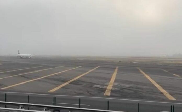 neblina-1024x631