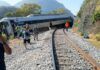 Picotazo Político / El Tren