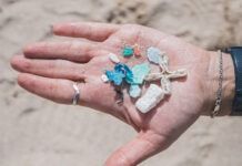 Superficie terrestre libera más de 600 trillones de microplásticos al año
