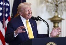 Trump añadió sus colores favoritos, dorado, rojo, blanco y azul oscuro, al Air Force One
