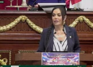 Más de un tercio de personas de diversidad sexual ha sido discriminada: Diana Sánchez Barrios