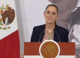 “Ni lo leeré”, Sheinbaum sobre libro de Scherer