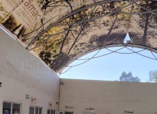 Gobierno de alcaldesa Rosi Wong lanza programa ‘Mi Primera Inversión’ en beneficio de mujeres de Tecámac