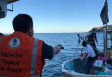 Marina retiene embarcación en Islas Marías por violar restricción de pesca