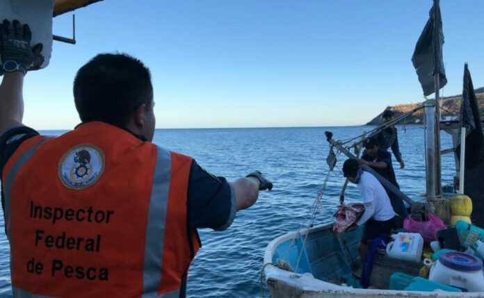aseguramiento-de-embarcacion-menor-en-anp-islas-marias-1024x631 (1)
