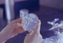 Expertos buscan en río Querétaro bacterias con resistencia antimicrobiana