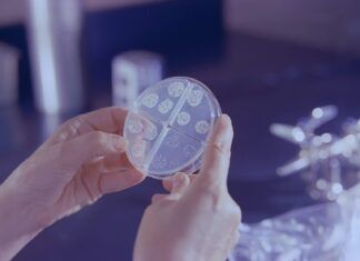 Expertos buscan en río Querétaro bacterias con resistencia antimicrobiana