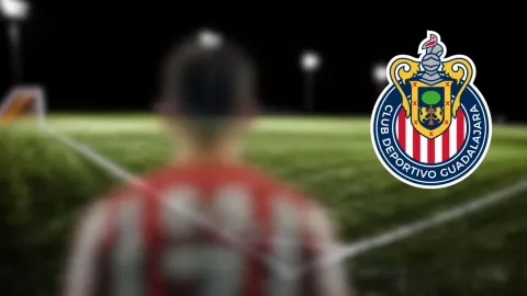 descarga