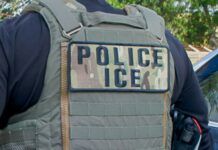 Sheinbaum exige a EU esclarecer muerte de 17 mexicanos en casos ligados al ICE