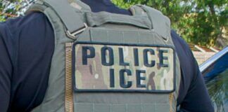 Sheinbaum exige a EU esclarecer muerte de 17 mexicanos en casos ligados al ICE