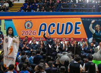 Poder Público / Unidad en torno a la administración de Yarabí Ávila