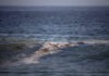 Comunidades denuncian contaminación por petróleo en playas de Veracruz y Tabasco