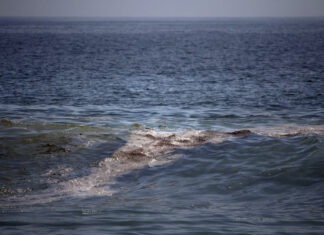 Comunidades denuncian contaminación por petróleo en playas de Veracruz y Tabasco