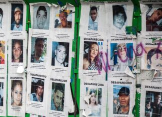 Padres buscadores reclaman que el censo oficial de desaparecidos “invisibiliza” 83 mil casos