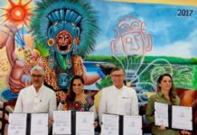 De la Ciudad / Paso crucial contra deforestación y protección de la tierra