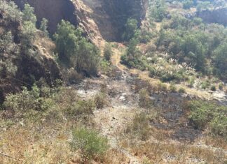 Gobierno de alcaldesa Rosi Wong atiende petición vecinal tras quema de mina de Hueyotenco, Tecámac