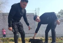 Guardia Civil de Tecámac pone a salvo a cachorro en canal de San Pedro Atzompa; Administración de alcaldesa Rosi Wong refrenda compromiso con los seres sintientes