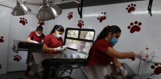 Alcaldesa Rosi Wong pone en marcha consultorio móvil de esterilización para animales domésticos en Tecámac