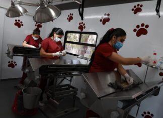 Alcaldesa Rosi Wong pone en marcha consultorio móvil de esterilización para animales domésticos en Tecámac
