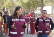 Liberan de autos abandonados y siniestrados Fiscalía de Azcapotzalco