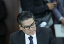 Morena va por Dictaminar a Favor el Plan B en Comisiones Unidas del Senado: Pável Jarero