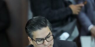 Morena va por Dictaminar a Favor el Plan B en Comisiones Unidas del Senado: Pável Jarero
