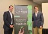 Crece la confianza para invertir en México; aumenta la producción de limón de exportación
