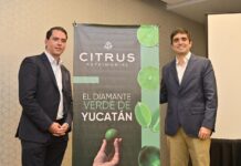 Crece la confianza para invertir en México; aumenta la producción de limón de exportación