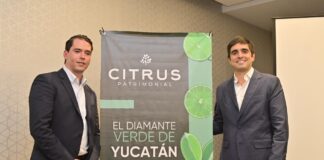 Crece la confianza para invertir en México; aumenta la producción de limón de exportación