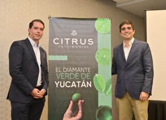 Crece la confianza para invertir en México; aumenta la producción de limón de exportación