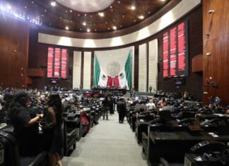Diputados aprueban creación de Registro Nacional de Enfermedades Raras
