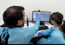 Científicos investigan desarrollo del cáncer de piel más común en México