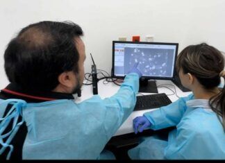 Científicos investigan desarrollo del cáncer de piel más común en México