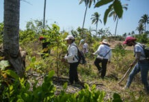 AI alerta del deterioro de derechos humanos y crisis de desaparecidos en México
