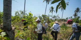 AI alerta del deterioro de derechos humanos y crisis de desaparecidos en México