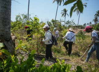 AI alerta del deterioro de derechos humanos y crisis de desaparecidos en México