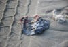Fuga en oleoducto provocó derrame de crudo en el Golfo de México: Pemex