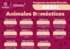 Gobierno de la alcaldesa Rosi Wong fortalece jornadas de esterilización gratuitas en Tecámac con unidad móvil única en el Edomex