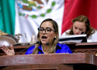 Demanda Laura Álvarez conocer radiografía operativa y destino del presupuesto del metro