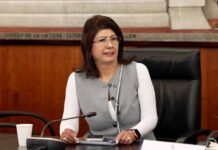 Precisa la Senadora Mariela que Apoyo de Eutanasia a Perritos fue Conforme a la Norma