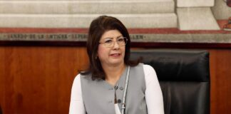Precisa la Senadora Mariela que Apoyo de Eutanasia a Perritos fue Conforme a la Norma