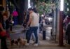 Iluminan Azcapotzalco con “Caminos de Paz” en Prohogar