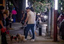 Iluminan Azcapotzalco con “Caminos de Paz” en Prohogar